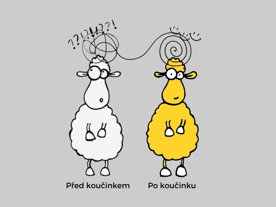 Pěstuj neuron - Koučink: Před, po a to mezi tím